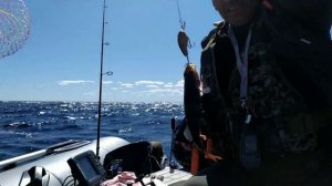 Рыбалка  на Ладоге.Пошли на судака попали на щуку.Троллинг.