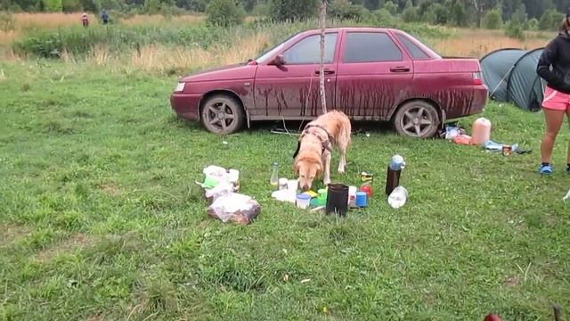 Московка Река Кия. Приехали сплавщики с собакой!! смотреть онлайн