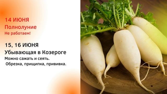 ТОЧНЫЙ ЛУННЫЙ ПОСЕВНОЙ КАЛЕНДАРЬ НА ИЮНЬ 2022 по дням  #лунныйпосевнойкалендарь