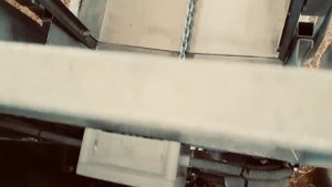 Овцы: откорм овец; линия кормления импортная