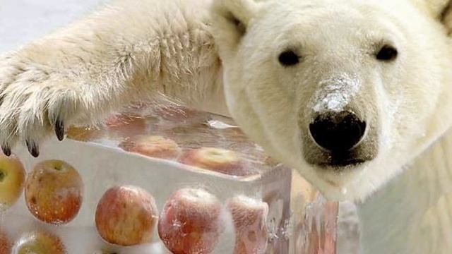 АНЕКДОТ 3759 Мужик Женщина Догоняй смотреть онлайн