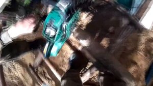 Обзор на бензопилу LD-845