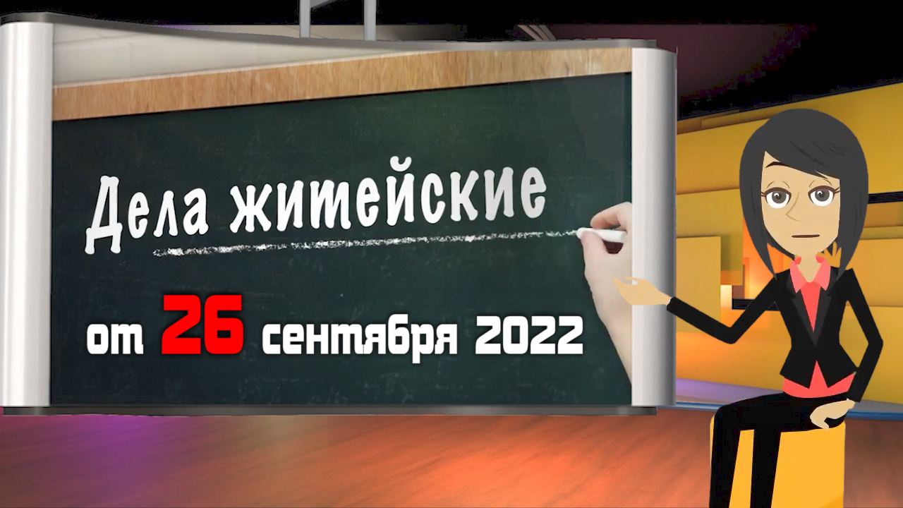 Дела житейские 2022