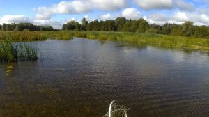 Ехали за щукой а ловился жерех.с.Каменка река Волга.Рыбалка на спиннинг.