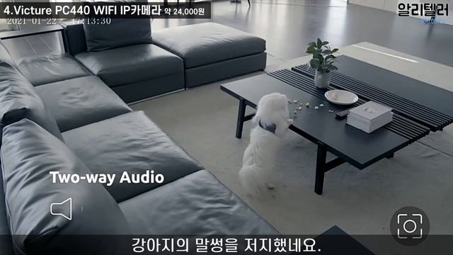 알리익스프레스 빛나는 아이디어를 갈아 넣어 최고의 가성비로 탄생 시킨 상위랭킹BEST 7 21탄