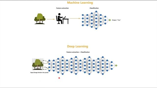DEEP JAVA LIBRARY EXPLAIN | AMAZON | EXAMPLE JAVA CODE DOG CAT | DEEP LEARNING CODE | InterviewDOT