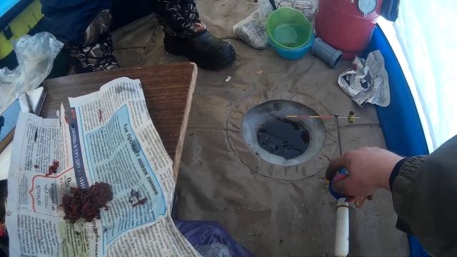 Электронный кивок Борового. Рыбалка на Яузском водохранилище.