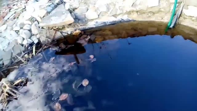 Пруд своими руками из бетона. Часть 8 смотреть онлайн