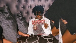 [FREE] Playboi Carti x Pierre Bourne Type Beat - "AN!ME" (prod. by yuuki x @dipressiablo )