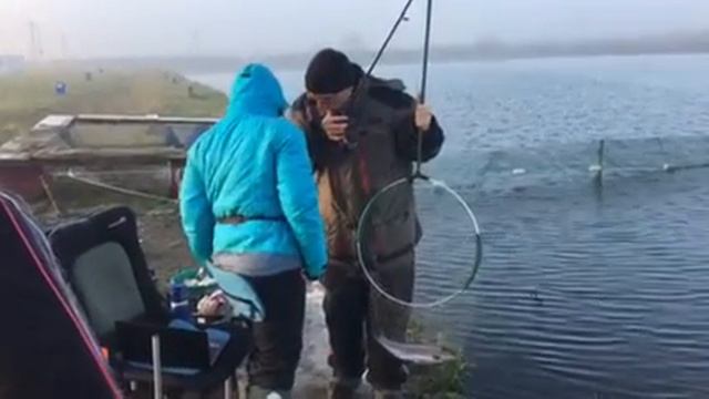 Дима Салапин смотреть онлайн