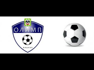 Олимп Видное  - Орбита Юниор.  2014 год.  Турнир Winnergy cup. 16.03.2024