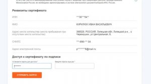 Электронная подпись налоговая как получить в личном кабинете налогоплательщика. Инструкция.