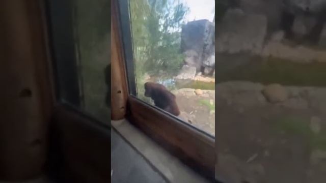 ?? Пока этим кожаным объяснишь, можно и состариться ? смотреть онлайн