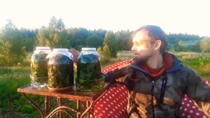 Сурица - квасное чудо, бодрит и освежает)