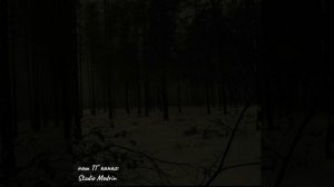 Дроны убийцы