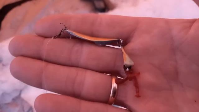 Судак на блесну. Малое чебачье. Видео про рыбалку смотреть онлайн