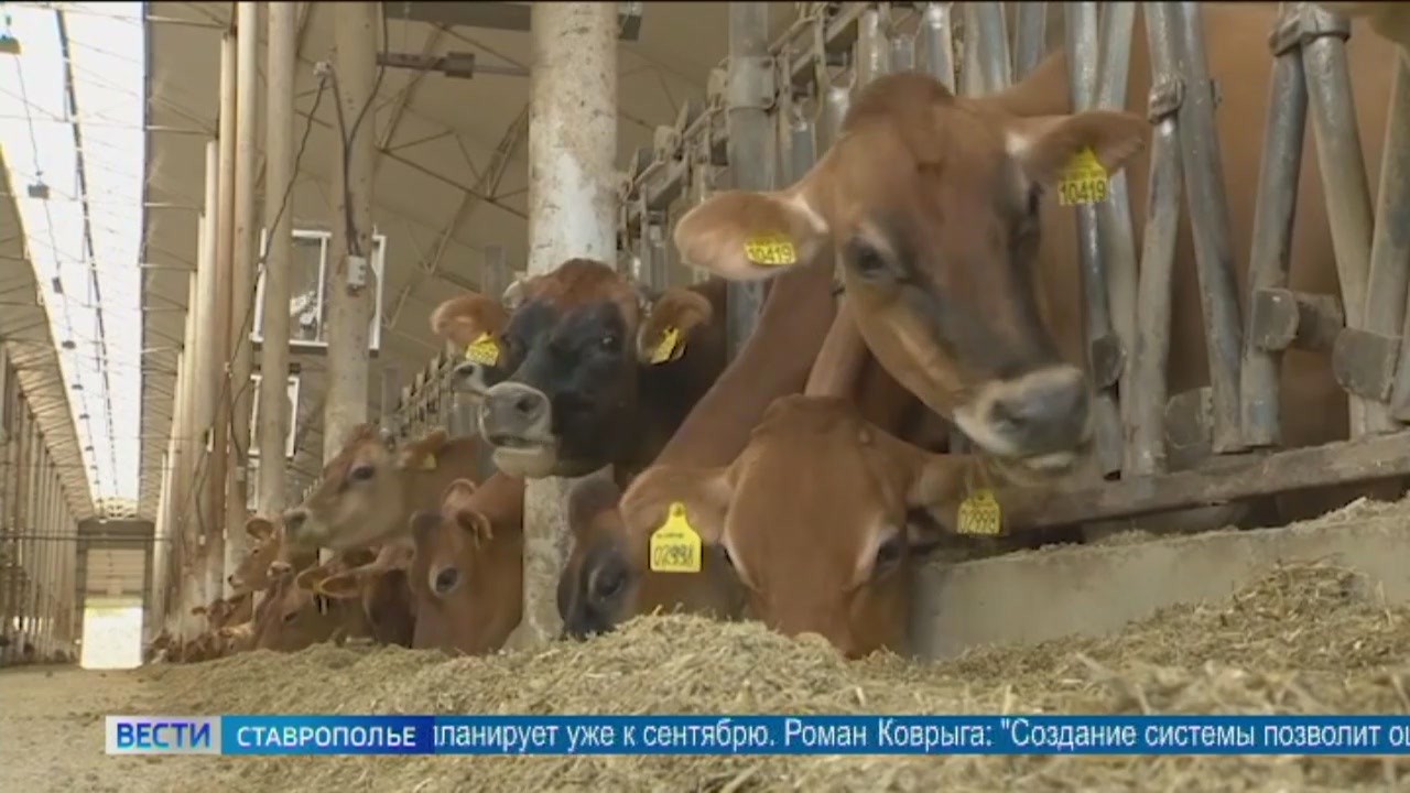 Водохранилища с питьевой водой разрабатывают на Ставрополье