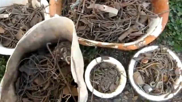 Возвращение Короля шмурдяка. смотреть онлайн