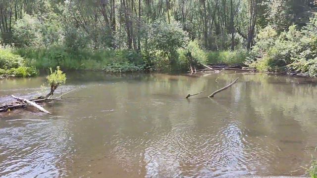 Рыбалка на реке Матур