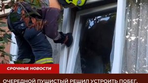 Спасение кота. Веревочный доступ