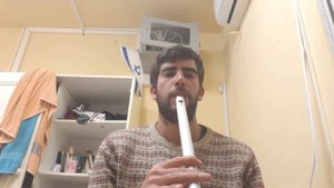 "The wind that shakes the barley" on low&high Irish whistles