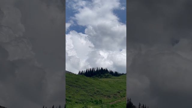 Природа в горах Казахстана. Плато Асы. 2500 meters above sea level. Kazakhstan. Nature. Summer 2022