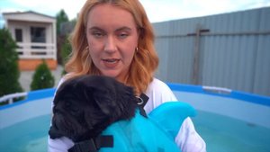 БАКС и ФУНТ Впервые ПЛАВАЮТ в БАССЕЙНЕ!? Мопсы Купаются В ВОДЕ!?