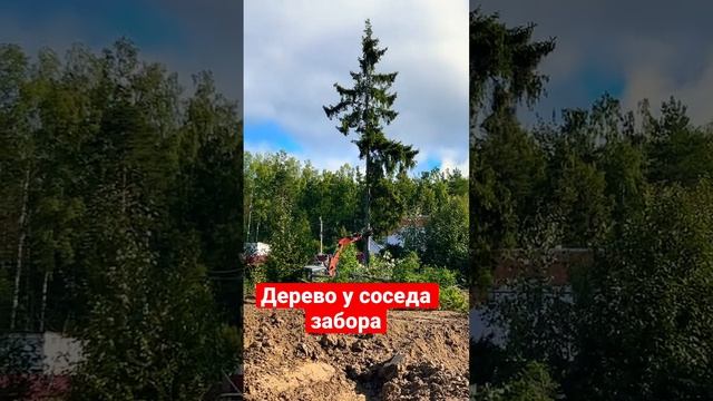 Как спилить дерево у забора соседа#дача #строительство #сад #благоустройство #экскаватор #дом #jcb