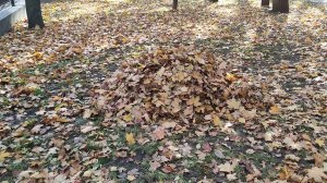 3 октября 2021 г.