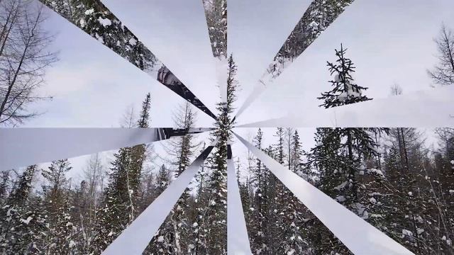 ПО СНЕЖНЫМ ПУТИКАМ ТАЙГИ / СЕЗОН ЗАКРЫЛИ ... смотреть онлайн