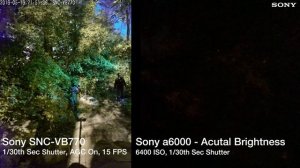 Sony SNC-VB770 - Dark Wooded Path