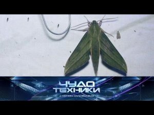"Чудо техники": лучшие средства от моли и выбор качественных батареек (24.03.2019)