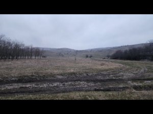 Мы нашли участок, который хотели,НО. Кормежка собак и кошек,поговорим.