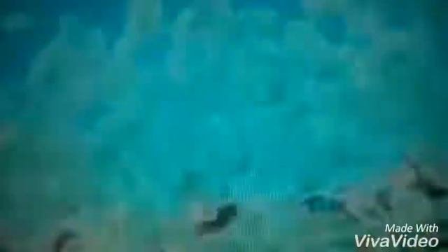 Клип. Леди баг и Супер кот. "Чудо Вокруг!" смотреть онлайн