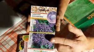 Что посеять в ДЕКАБРЕ. Сроки посева цветов петунии и многолетников семенами на рассаду.mp4