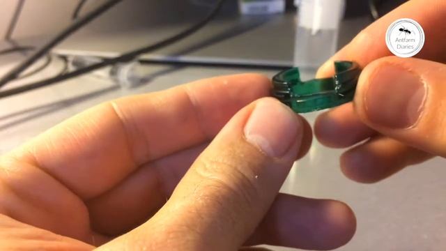 Сделай поилку для муравьев (и других насекомых) за копейки смотреть онлайн