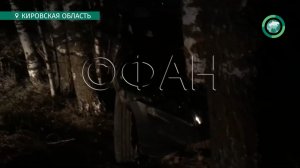 В Кировской области автомобиль врезался в деревья. ФАН-ТВ