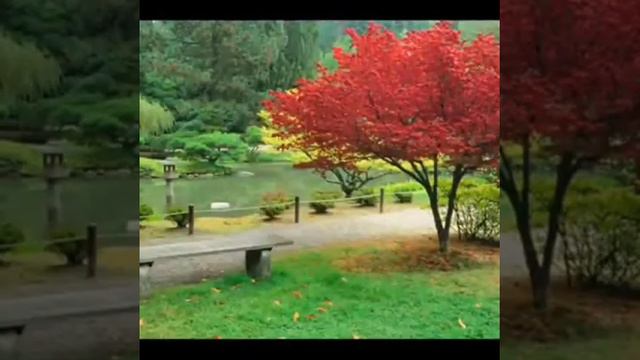 😎. Pan flüt george zamfir..el condor pasha. смотреть онлайн