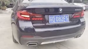 Задние фонари БМВ 5 серии G30 2017-2020 BMW G30 V2 type