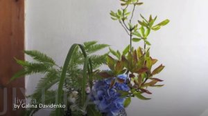 Икэбана Икэнобо - выставка в Японском саду