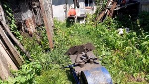 Лоплош- окучник.