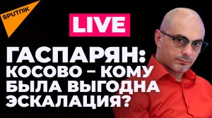 Гаспарян: Косово и угрозы НАТО, вербовка наемников Киевом и страх Запада перед энергокризисом