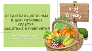 Лекция Сычевой И.В. «Вредители цветочных и декоративных культур. Защитные мероприятия»