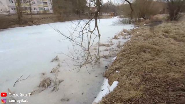 ПРУДЫ: Пруд у дома для рыбалки, купания и отдыха. Искусственный пруд с рыбой.  БЕРЕГИТЕ ВОДОЁМЫ !!!