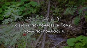 Красивое Чтение Сура Аль-Кафирун