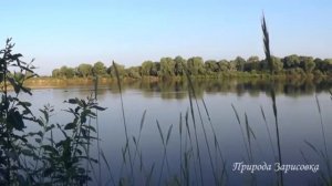 красивый нашид на табасаранском языке