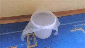 ? Печалька. Иван-чай ??  в горшке - зимой ❄️ на подоконнике. (Russian tea).