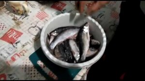 сушеный чебак, разделка чебака.