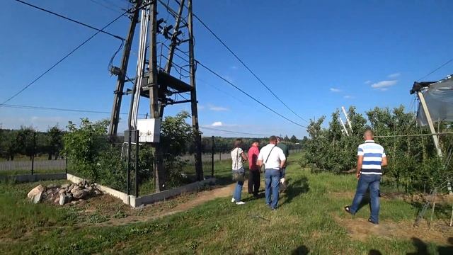 Ягодники (агрус, смородина) и яблоня 12.06.2018 Польша 1 ч смотреть онлайн