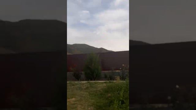 Моя бешеная собака смотреть онлайн